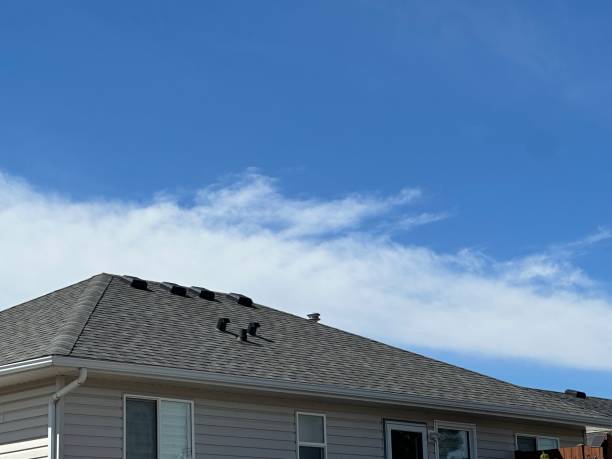 Best Roof Coating and Sealing  in Dayton, OH
