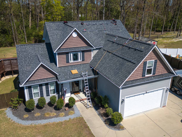 Best Roof Moss and Algae Removal  in Dayton, OH
